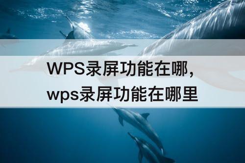 WPS录屏功能在哪，wps录屏功能在哪里