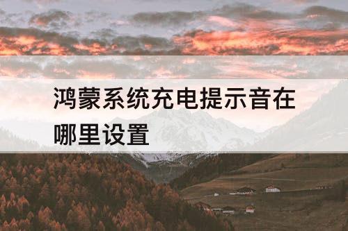 鸿蒙系统充电提示音在哪里设置