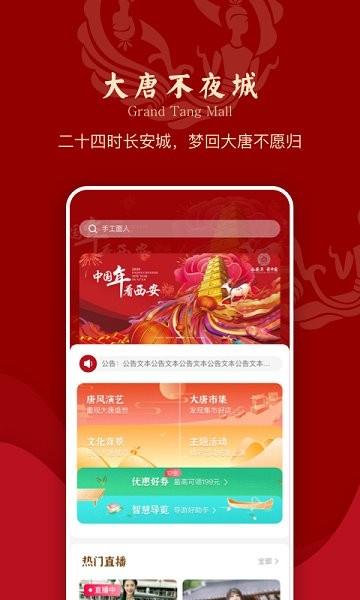 大唐不夜城文化商业步行街  v2.1.3图1