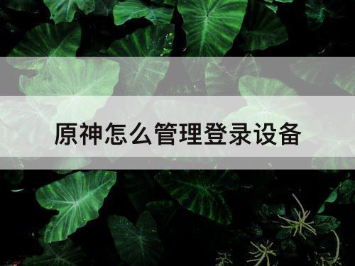 原神怎么管理登录设备