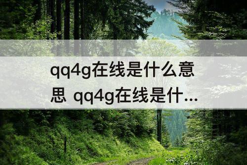 qq4g在线是什么意思 qq4g在线是什么意思是关机了吗