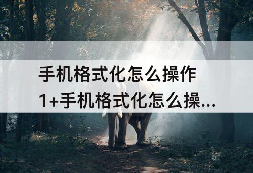 手机格式化怎么操作 1+手机格式化怎么操作