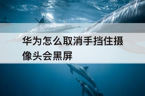 华为怎么取消手挡住摄像头会黑屏