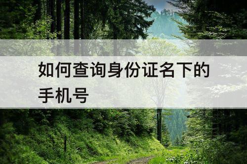 如何查询身份证名下的手机号