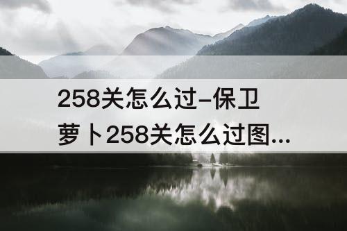 258关怎么过-保卫萝卜258关怎么过图解法