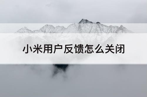 小米用户反馈怎么关闭