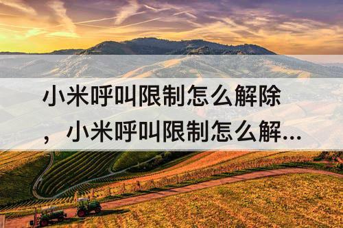 小米呼叫限制怎么解除，小米呼叫限制怎么解除 新闻