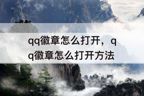 qq徽章怎么打开，qq徽章怎么打开方法
