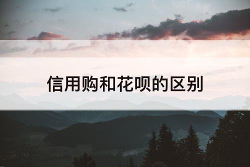 信用购和花呗的区别