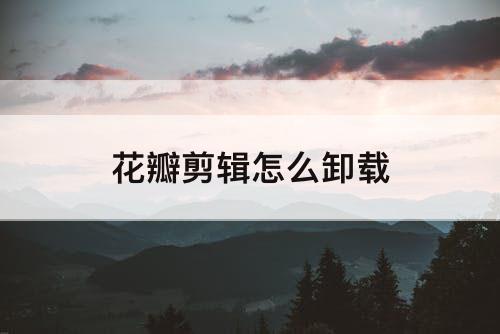花瓣剪辑怎么卸载