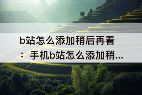 b站怎么添加稍后再看：手机b站怎么添加稍后再看