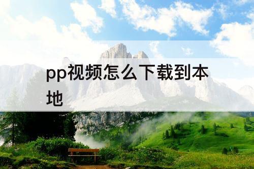 pp视频怎么下载到本地
