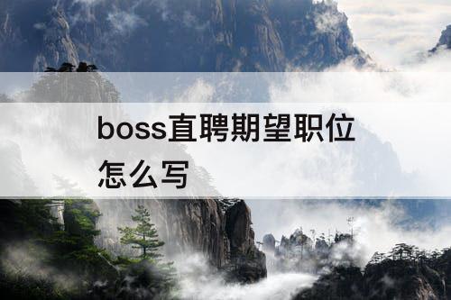 boss直聘期望职位怎么写