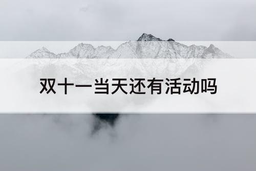 双十一当天还有活动吗