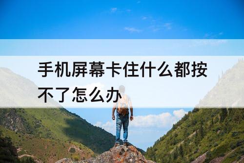 手机屏幕卡住什么都按不了怎么办