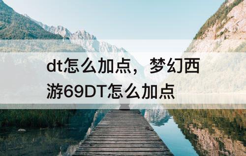 dt怎么加点，梦幻西游69DT怎么加点