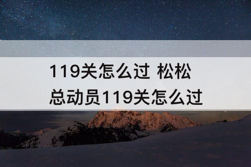 119关怎么过 松松总动员119关怎么过