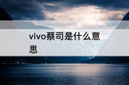 vivo蔡司是什么意思