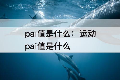 pai值是什么：运动pai值是什么