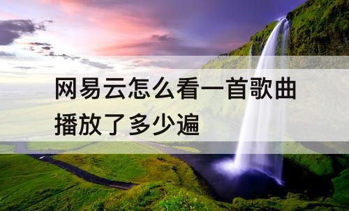 网易云怎么看一首歌曲播放了多少遍