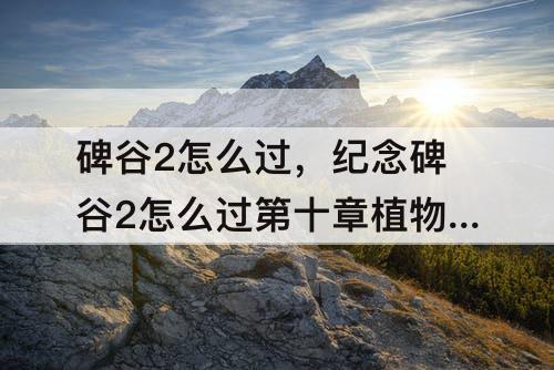 碑谷2怎么过，纪念碑谷2怎么过第十章植物园