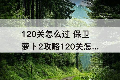 120关怎么过 保卫萝卜2攻略120关怎么过