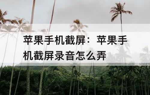 苹果手机截屏：苹果手机截屏录音怎么弄