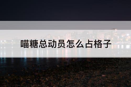 喵糖总动员怎么占格子