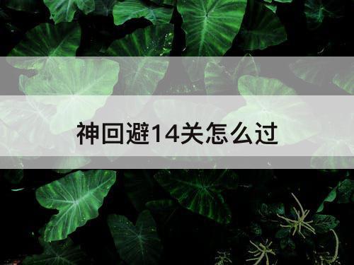 神回避14关怎么过