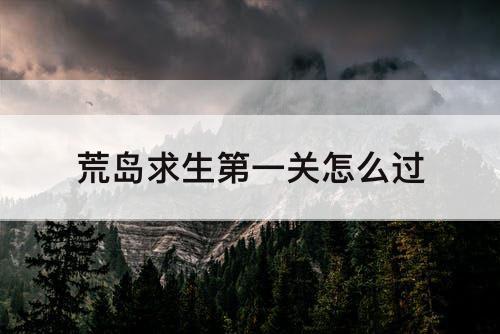 荒岛求生第一关怎么过