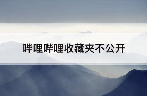 哔哩哔哩收藏夹不公开