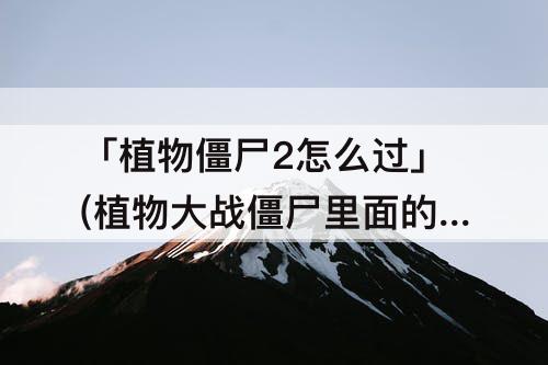 「植物僵尸2怎么过」(植物大战僵尸里面的植物僵尸2怎么过)