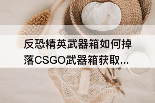 反恐精英武器箱如何掉落CSGO武器箱获取方法一览