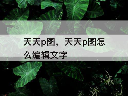 天天p图，天天p图怎么编辑文字