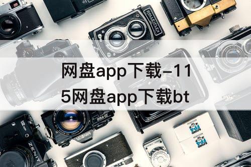 网盘app下载-115网盘app下载bt