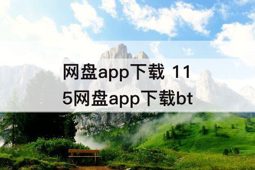 网盘app下载 115网盘app下载bt