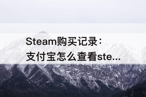 Steam购买记录：支付宝怎么查看steam购买记录
