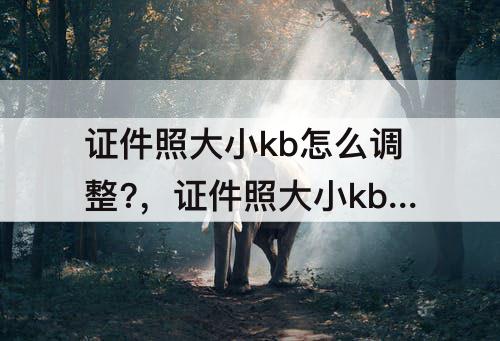 证件照大小kb怎么调整?，证件照大小kb怎么调整?手机上