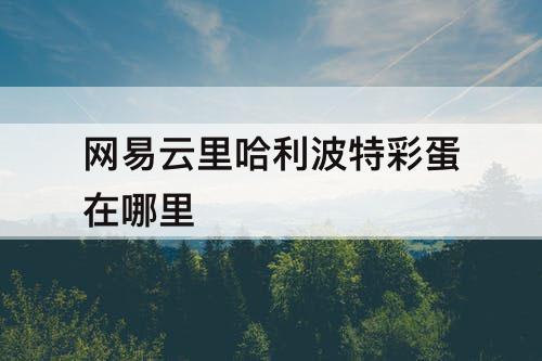 网易云里哈利波特彩蛋在哪里