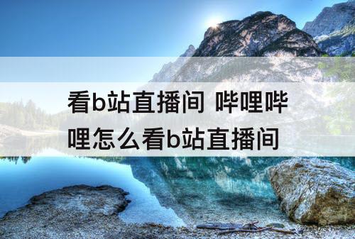 看b站直播间 哔哩哔哩怎么看b站直播间
