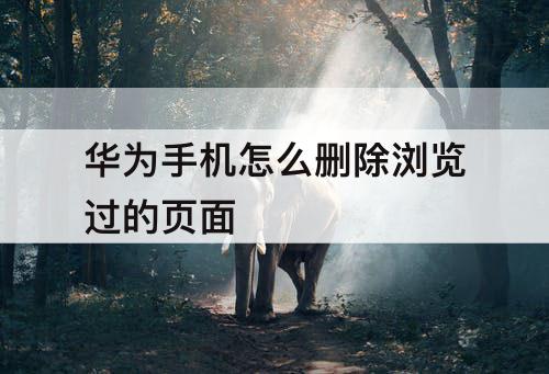 华为手机怎么删除浏览过的页面