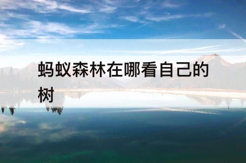 蚂蚁森林在哪看自己的树