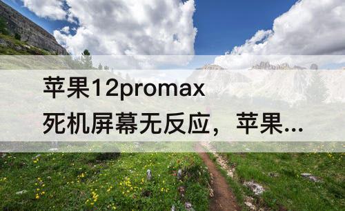 苹果12promax死机屏幕无反应，苹果12promax死机屏幕无反应不能滑动