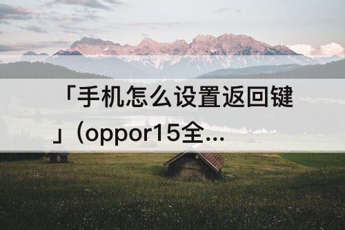 「手机怎么设置返回键」(oppor15全屏手机怎么设置返回键)