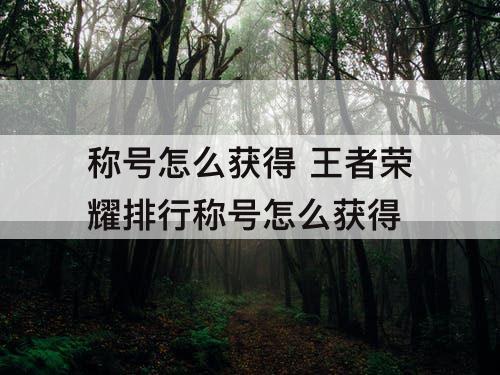 称号怎么获得 王者荣耀排行称号怎么获得