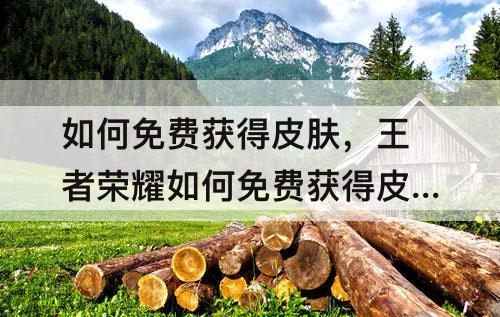 如何免费获得皮肤，王者荣耀如何免费获得皮肤