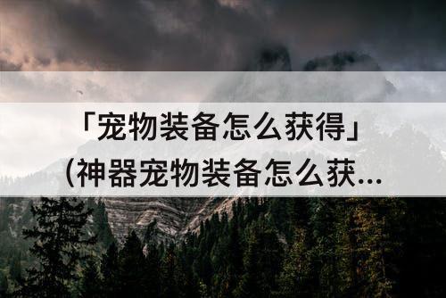 「宠物装备怎么获得」(神器宠物装备怎么获得)