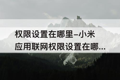 权限设置在哪里-小米应用联网权限设置在哪里