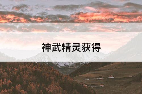 神武精灵获得