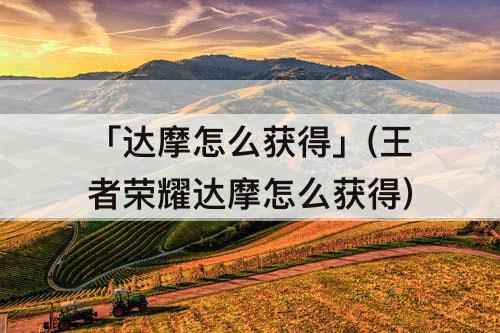 「达摩怎么获得」(王者荣耀达摩怎么获得)